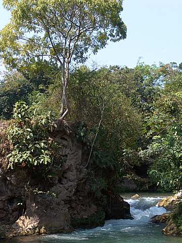 Cliff Rapids
