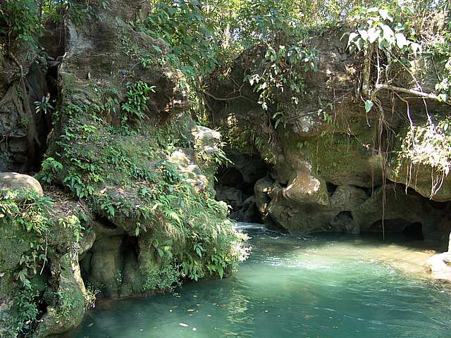 SwimmingCove