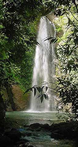 Misty Falls