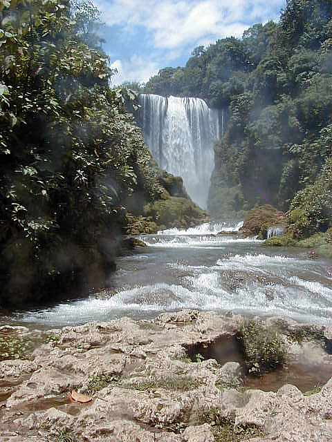 FallsD Vertcl