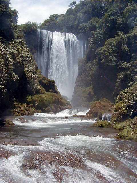 Falls Flush