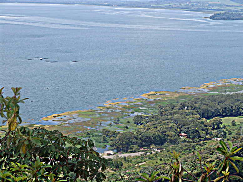 LakeP1-69